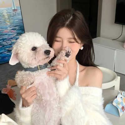 爱情上上签